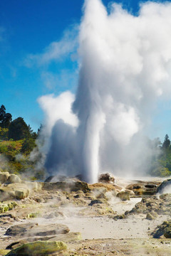Pohutu Geyser；新西蘭