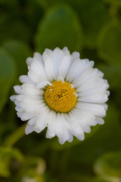 花木場(chǎng)