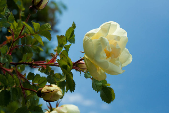花木場(chǎng)