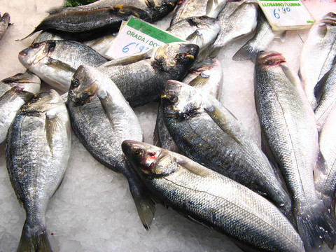 在魚(yú)市場(chǎng)
