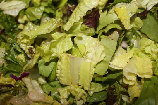 生菜和蔬菜的混合
