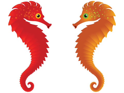 馬白
