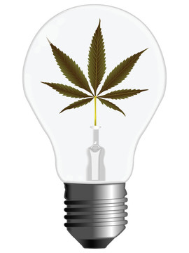 大麻能