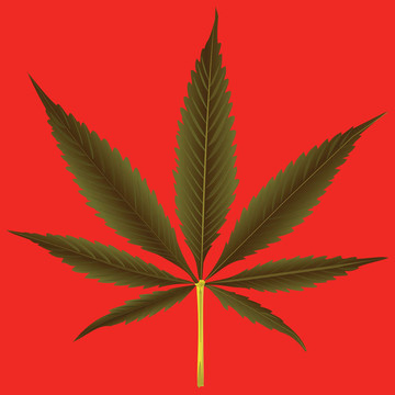 大麻葉對(duì)橙色背景