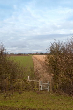 鄉(xiāng)間小路