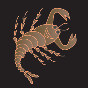 蝎子