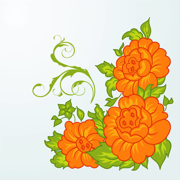 可愛(ài)的橙色花分離