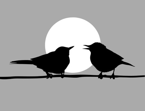 在太陽與鳥
