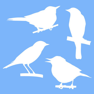 鳥兒坐在剪影