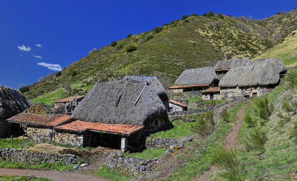 teitos