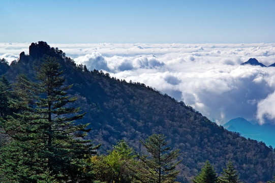 山峰。樹。云