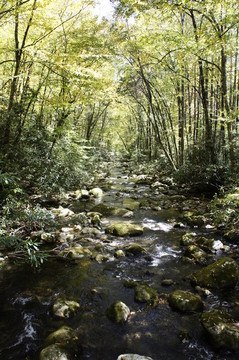 山流