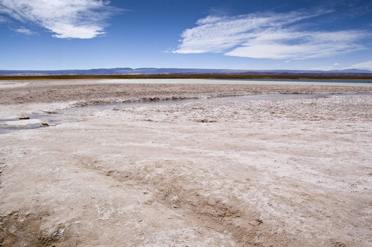 Cejar Lagoon；智利