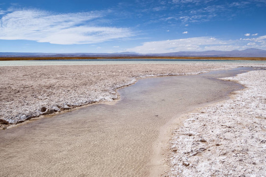 Cejar Lagoon；智利
