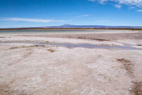 Cejar Lagoon；智利