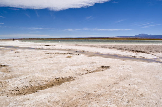 Cejar Lagoon；智利