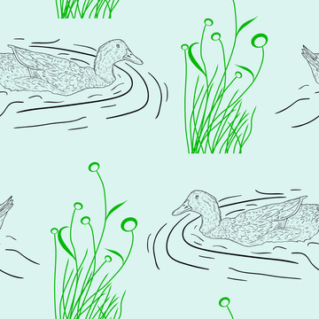 無縫背景；野生鴨。