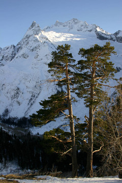高加索山脈山區(qū)滑雪勝地