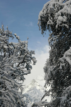 晴朗的天氣過(guò)后，一片新鮮的雪
