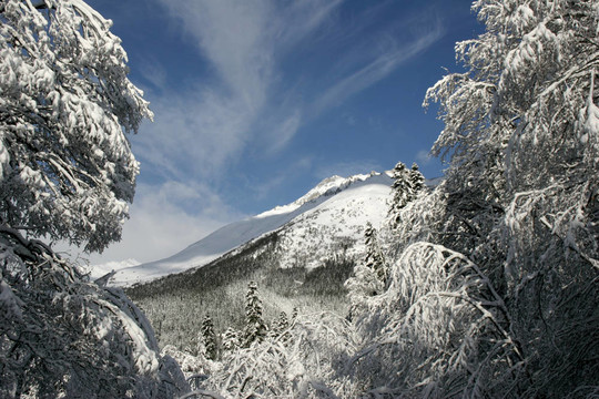 晴朗的天氣過(guò)后，一片新鮮的雪