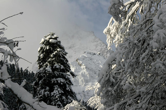 晴朗的天氣過后，一片新鮮的雪