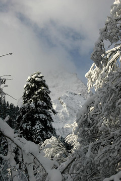 晴朗的天氣過后，一片新鮮的雪