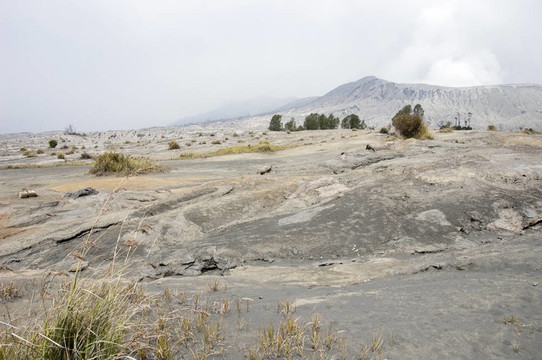 溴火山煙塵硫Caldeira