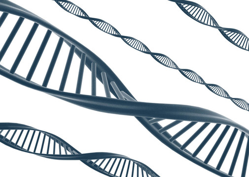 DNA