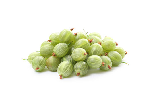 醋栗
