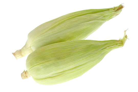 兩個(gè)玉米穗軸白色隔離（選擇性聚焦；在第一棒的重點(diǎn)）