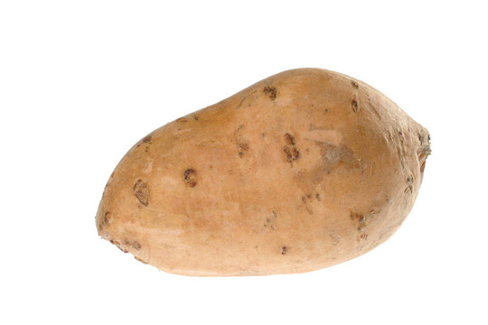 甘薯（lat. Ipomoea batatas）白色隔離