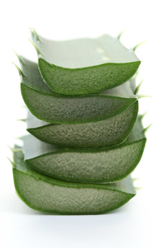 蘆薈