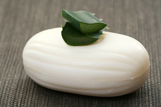蘆薈皂