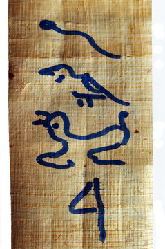 埃及象形文字的紙莎草紙