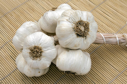 編織Fresh Garlic