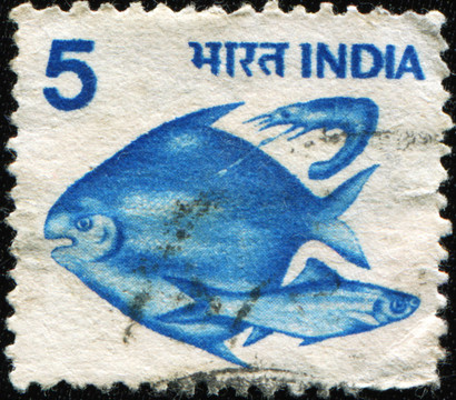 魚