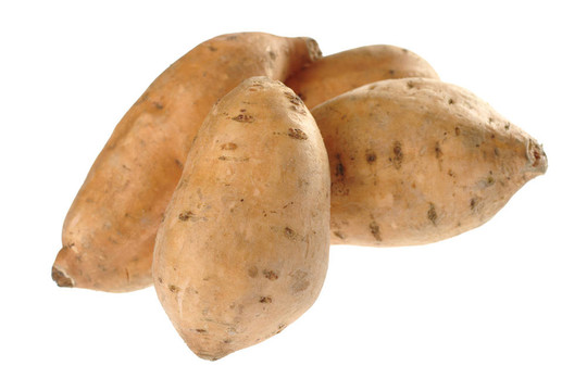 甘薯（lat. Ipomoea batatas）白色隔離（選擇性聚焦；在前面的紅薯焦點(diǎn)）