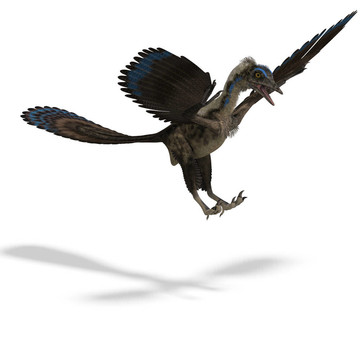 Dinosaur Archaeopteryx。3D渲染與剪輯路徑和陰影超過白色