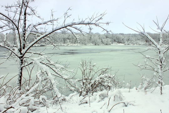 伊利諾斯雪湖降雪