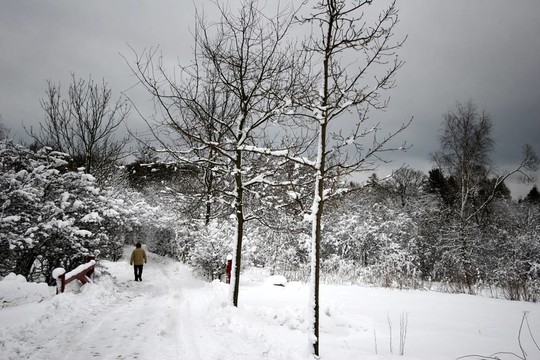 下雪的冬天