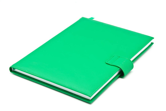 綠皮書