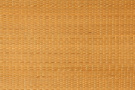 莖墊結(jié)構(gòu)