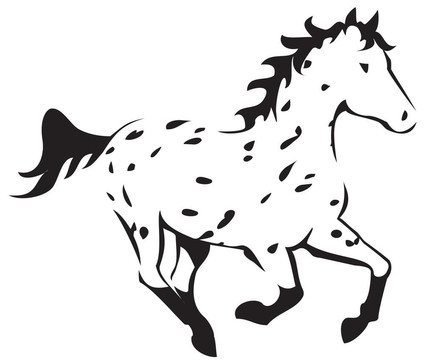 豹Appaloosa