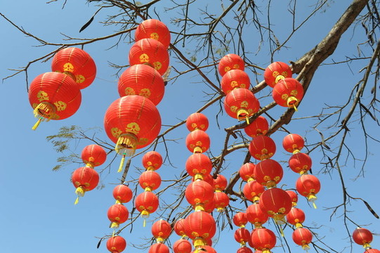 喜慶的中國紅燈籠裝飾