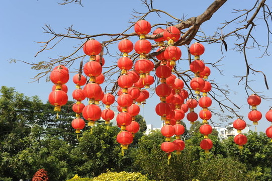 喜慶的中國紅燈籠裝飾