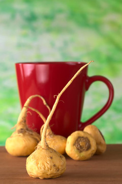 秘魯人參（Sp. Maca；經(jīng)緯度瑪咖）是廣泛應(yīng)用于秘魯?shù)母鞣N健康的影響和對(duì)木材的背面的一個(gè)紅色的茶