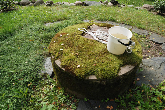 典型混凝土水井與苔蘚