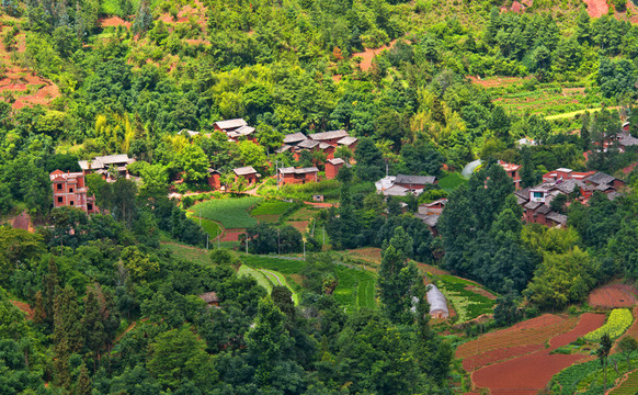 山寨