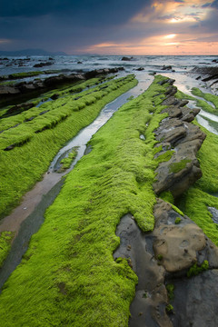 海灘barrika；Bizkaia；巴斯克自治區(qū)；西班牙