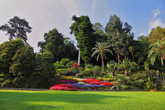 華麗的花壇公園
